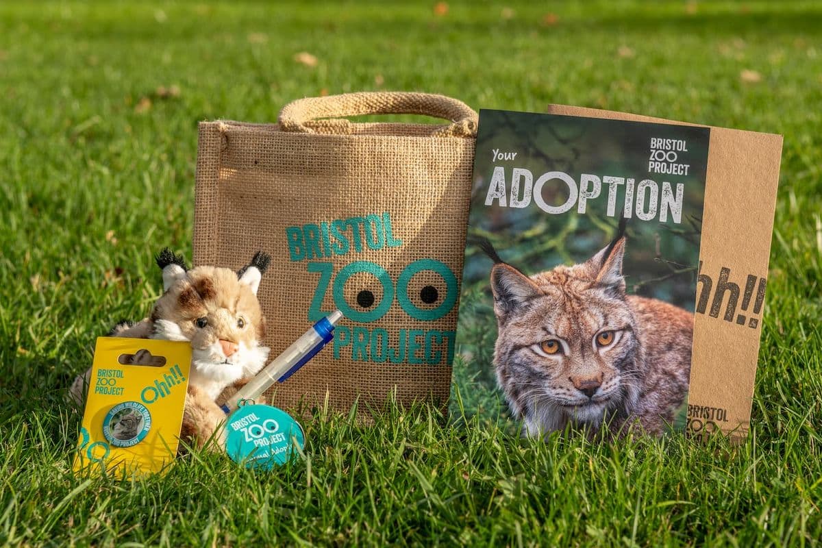 Bristol Zoo Project adoption kit on grass, includes a lynx photo, plush toy, jute bag, and informational materials.